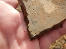 photo thumbnail #12