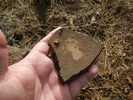 photo thumbnail #13