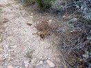 photo thumbnail #5