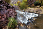 photo thumbnail #2