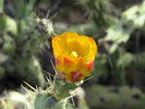 photo thumbnail #11