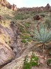 photo thumbnail #14