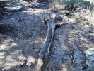 photo thumbnail #14