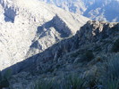 photo thumbnail #11