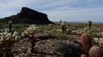 photo thumbnail #8