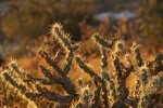 photo thumbnail #13