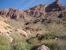photo thumbnail #6