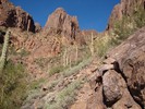 photo thumbnail #11