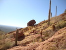 photo thumbnail #12