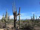 photo thumbnail #6