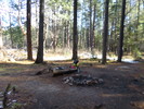 photo thumbnail #11