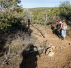 photo thumbnail #13