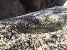 photo thumbnail #15