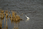photo thumbnail #15