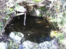 photo thumbnail #6