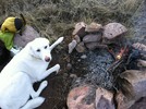 photo thumbnail #15