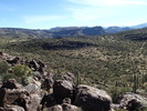 photo thumbnail #5