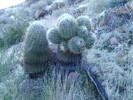 photo thumbnail #9