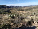 photo thumbnail #2