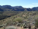 photo thumbnail #5