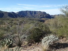 photo thumbnail #6