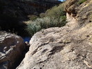 photo thumbnail #13