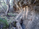 photo thumbnail #14