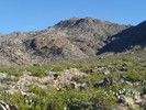 photo thumbnail #3
