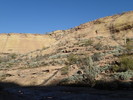 photo thumbnail #8