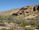 photo thumbnail #12