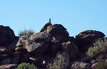 photo thumbnail #1