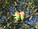 photo thumbnail #4