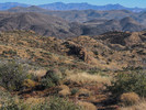 photo thumbnail #5