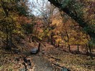 photo thumbnail #5