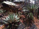 photo thumbnail #12