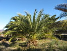 photo thumbnail #12