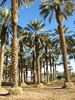 photo thumbnail #15