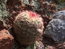 photo thumbnail #5