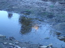 photo thumbnail #7