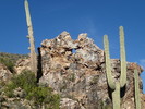photo thumbnail #14