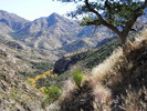 photo thumbnail #1