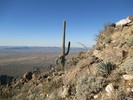 photo thumbnail #1