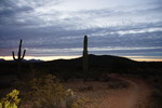 photo thumbnail #11