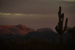 photo thumbnail #4