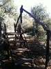 photo thumbnail #1