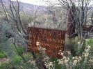 photo thumbnail #9