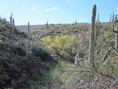 photo thumbnail #3