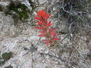 photo thumbnail #8