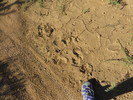 photo thumbnail #5