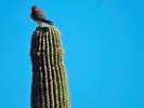 photo thumbnail #14